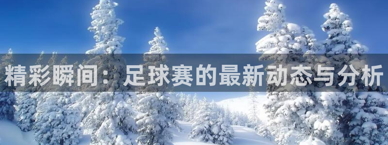 精彩瞬间：足球赛的最新动态与分析