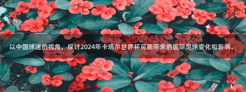 以中国球迷的视角，探讨2024年卡塔尔世界杯可能带来的国际足球变化和影响。