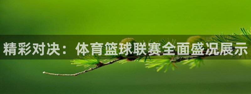 精彩对决:体育篮球联赛全面盛况展示