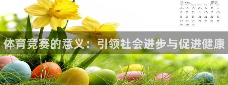 体育竞赛的意义：引领社会进步与促进健康