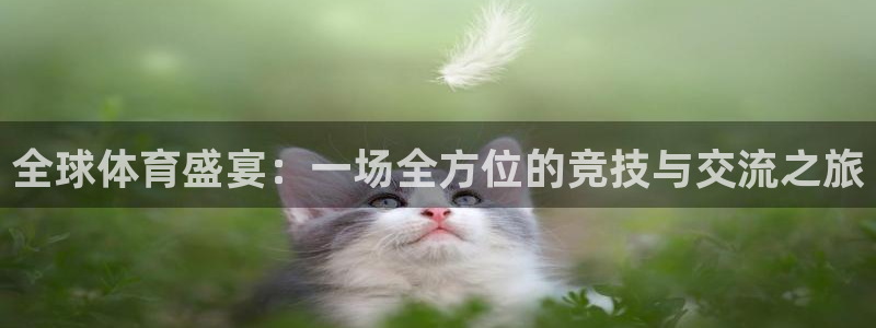 全球体育盛宴：一场全方位的竞技与交流之旅
