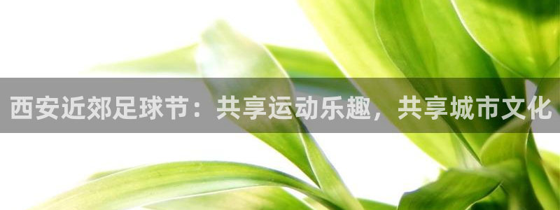 西安近郊足球节：共享运动乐趣，共享城市文化