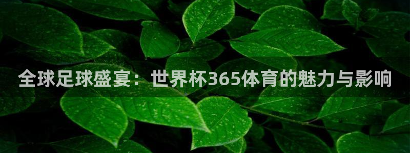 全球足球盛宴：世界杯365体育的魅力与影响
