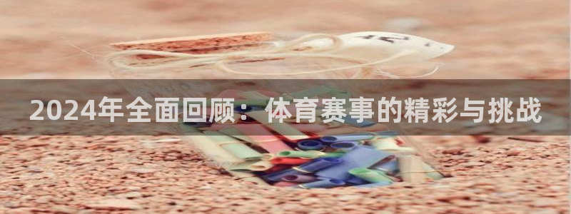 2024年全面回顾：体育赛事的精彩与挑战
