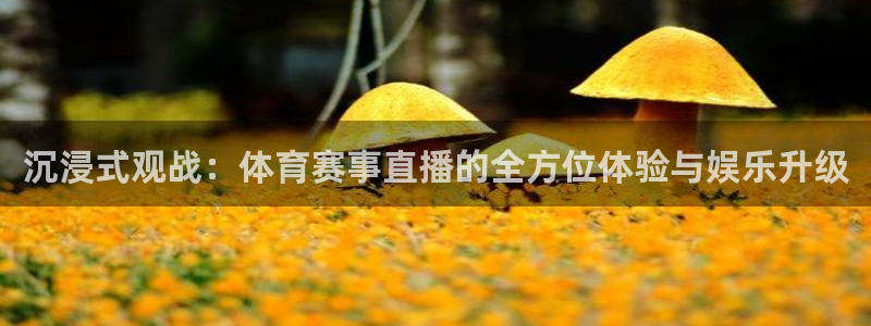 沉浸式观战：体育赛事直播的全方位体验与娱乐升级
