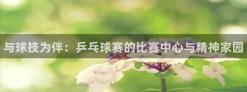 与球技为伴：乒乓球赛的比赛中心与精神家园