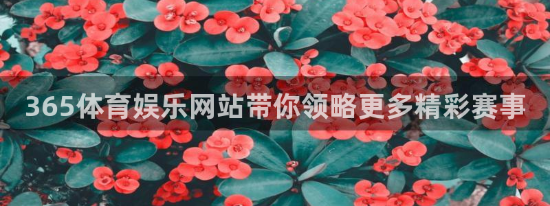 365体育娱乐网站带你领略更多精彩赛事