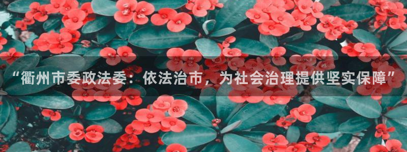 “衢州市委政法委：依法治市，为社会治理提供坚实保障”