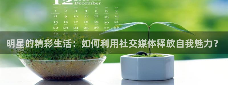 明星的精彩生活：如何利用社交媒体释放自我魅力？
