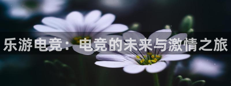 乐游电竞：电竞的未来与激情之旅